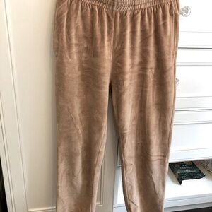 Anine Bing Sport Velour Sweatpant